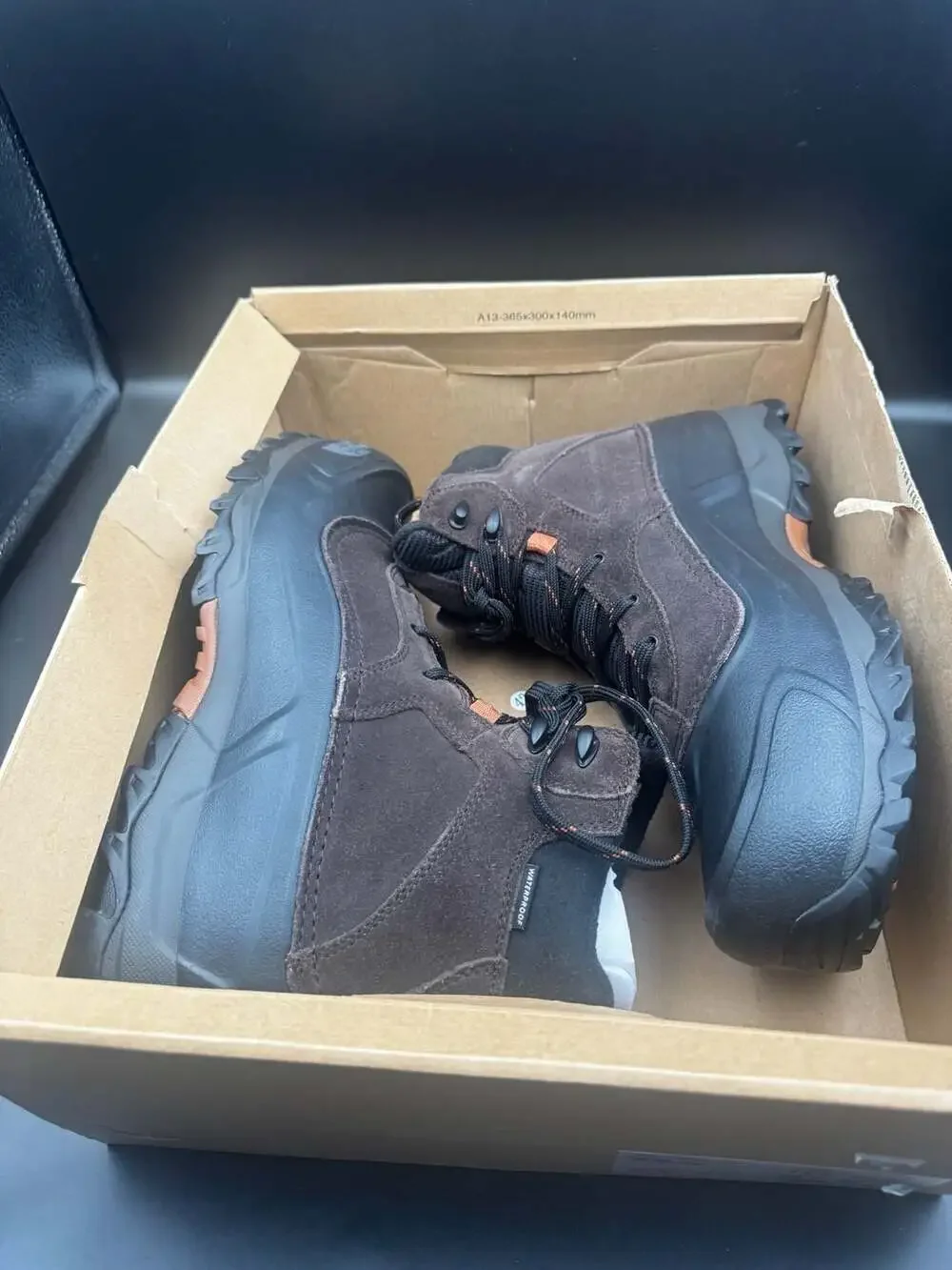 The North Face north face