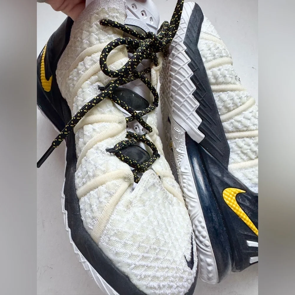 Nike lebron 18
