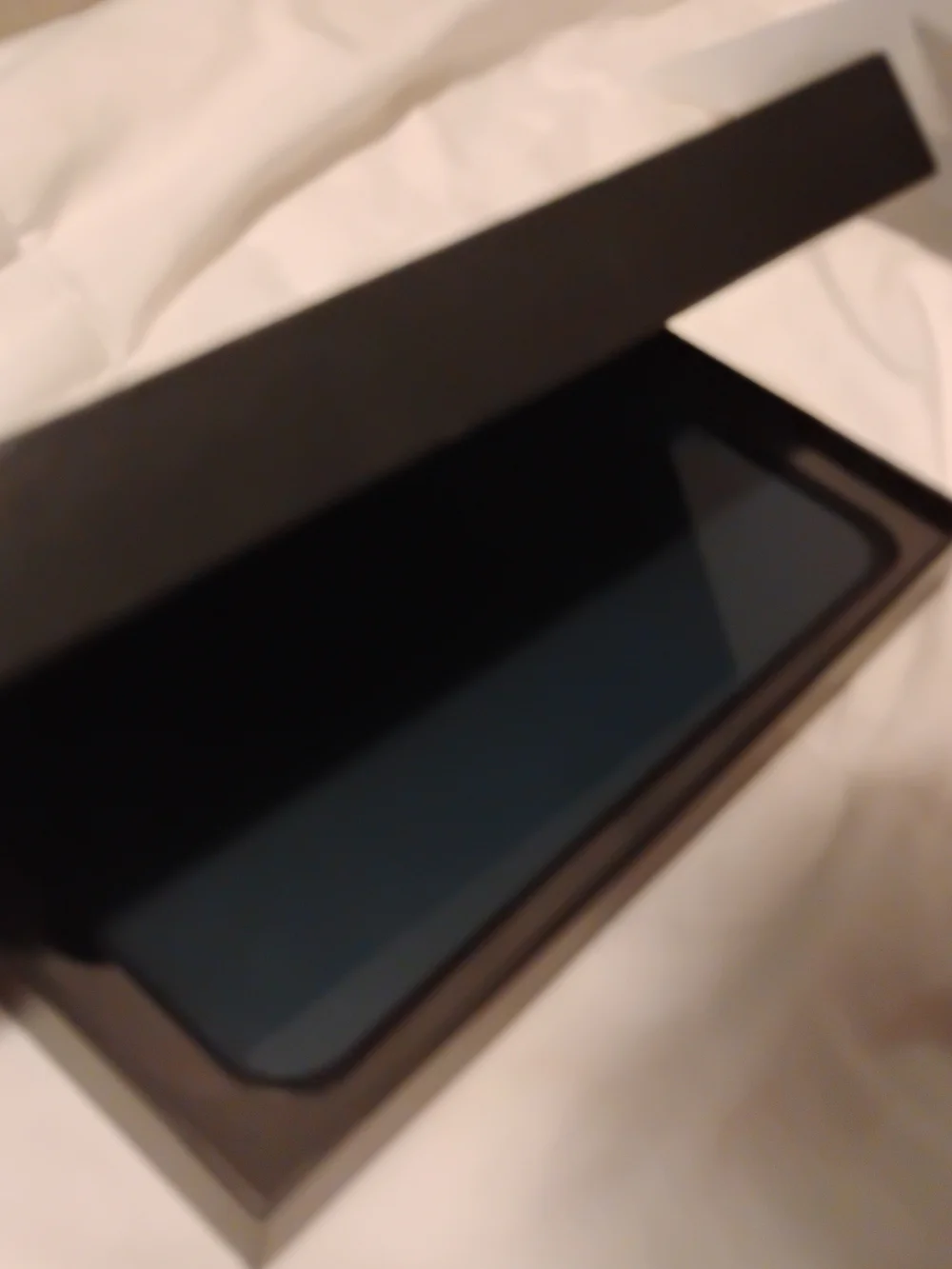 12 Pro Max Privacy Screen