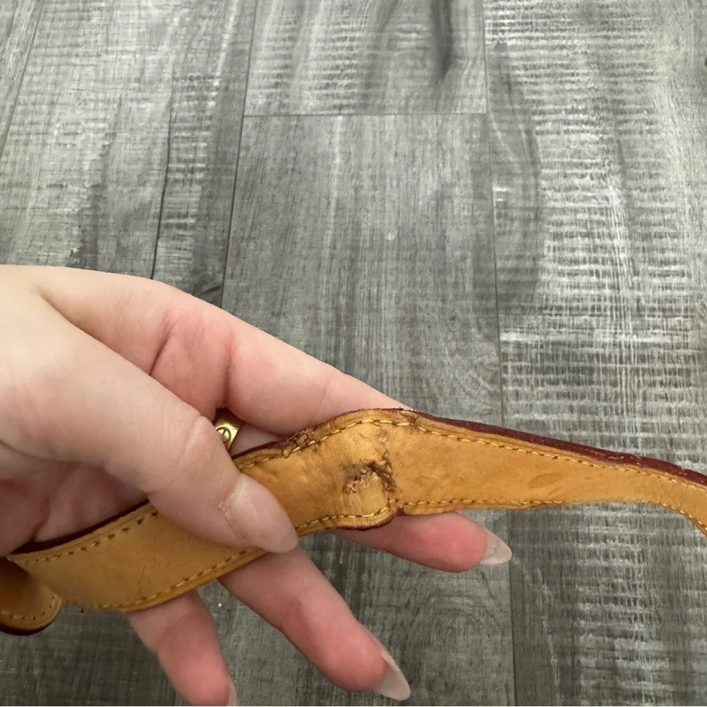 Louis Vuitton louis will from