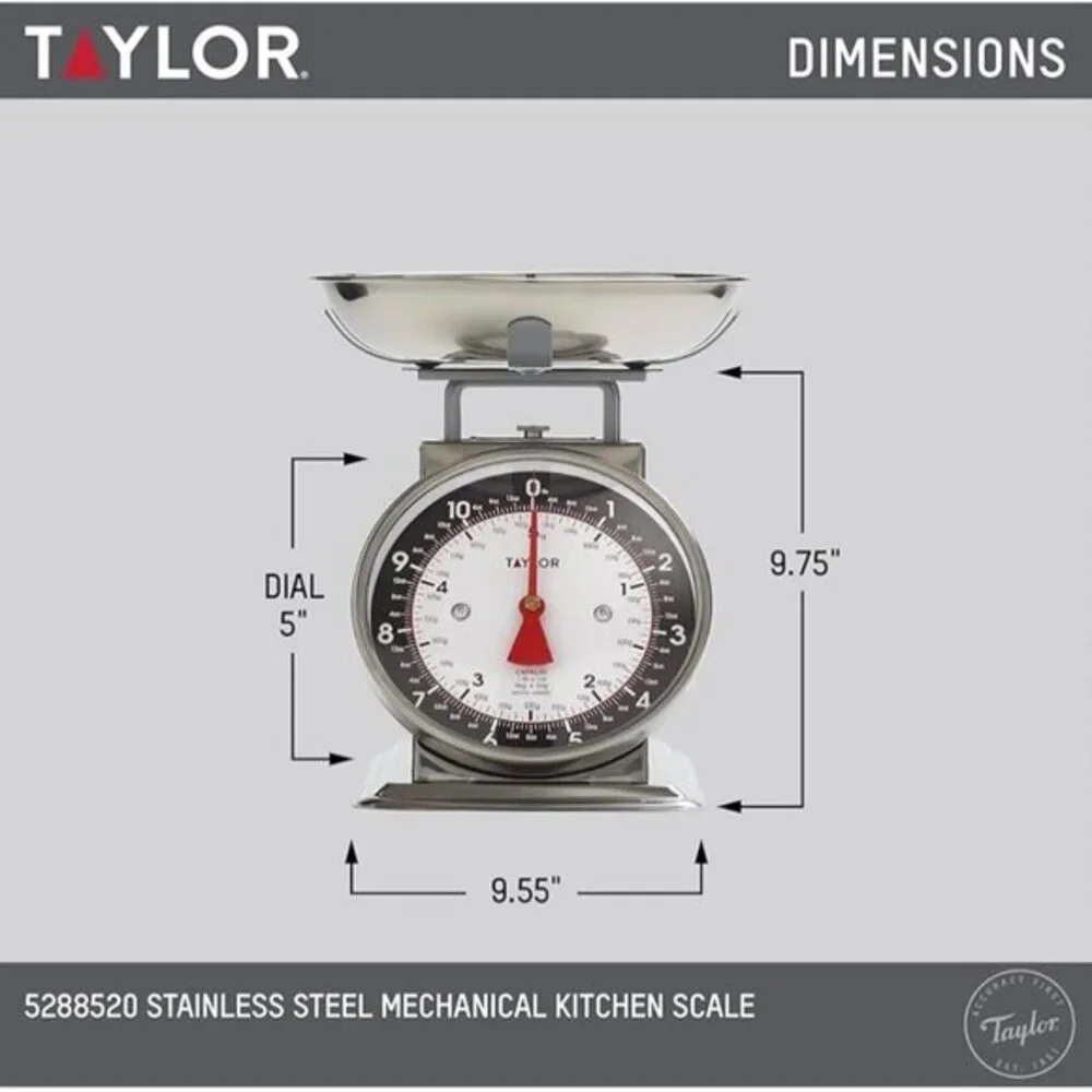 Taylor classic stainless