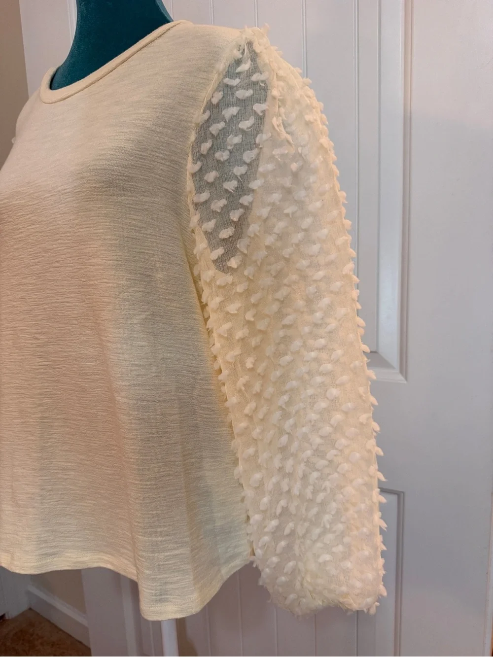 Anthropologie it sleeves dot