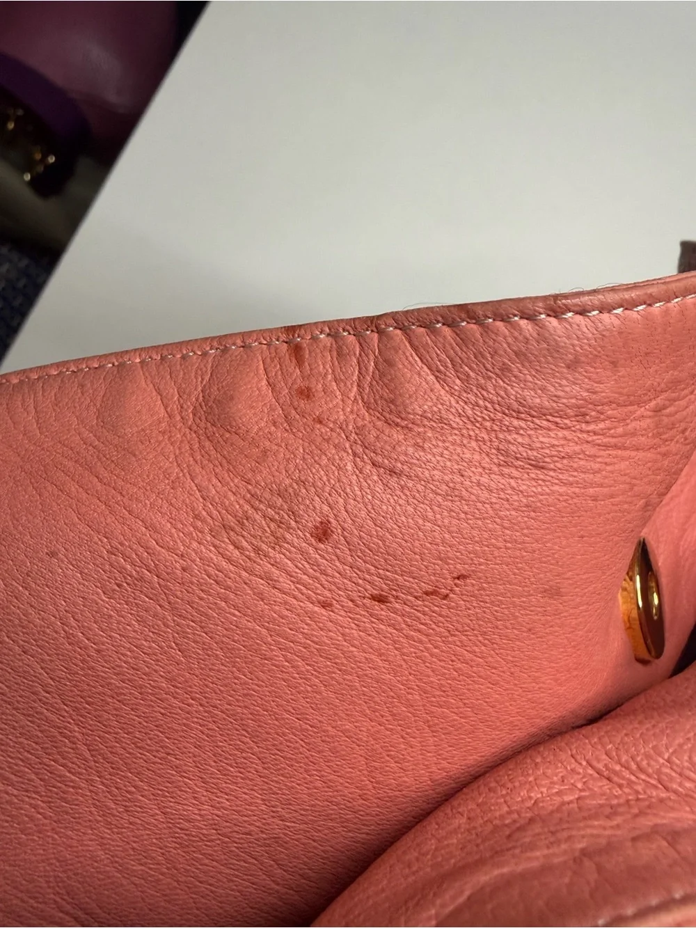 Loewe soft coral