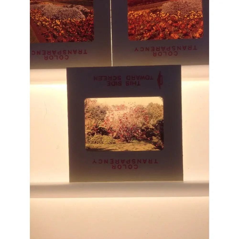 N/A g018
