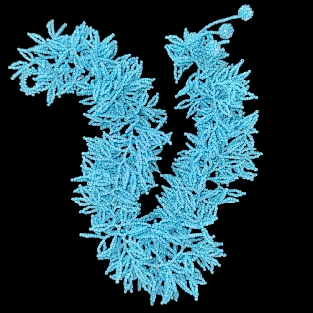 blue coral