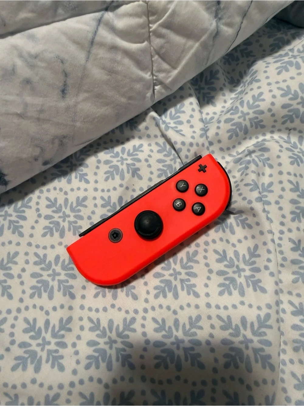Nintendo pair joy