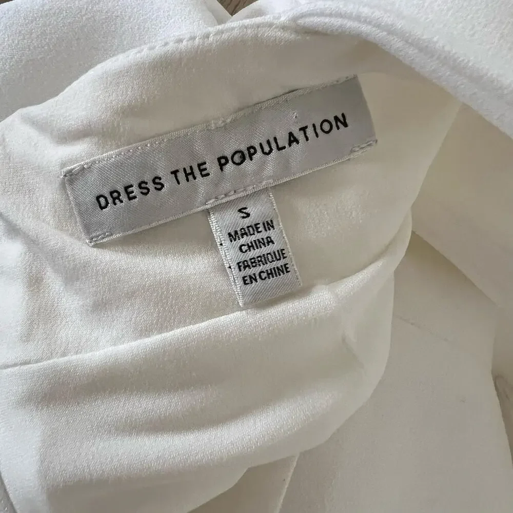 Dress the Population stunning dress