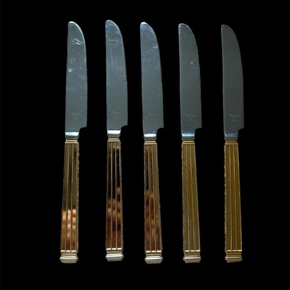 Christian Dior set stainless
