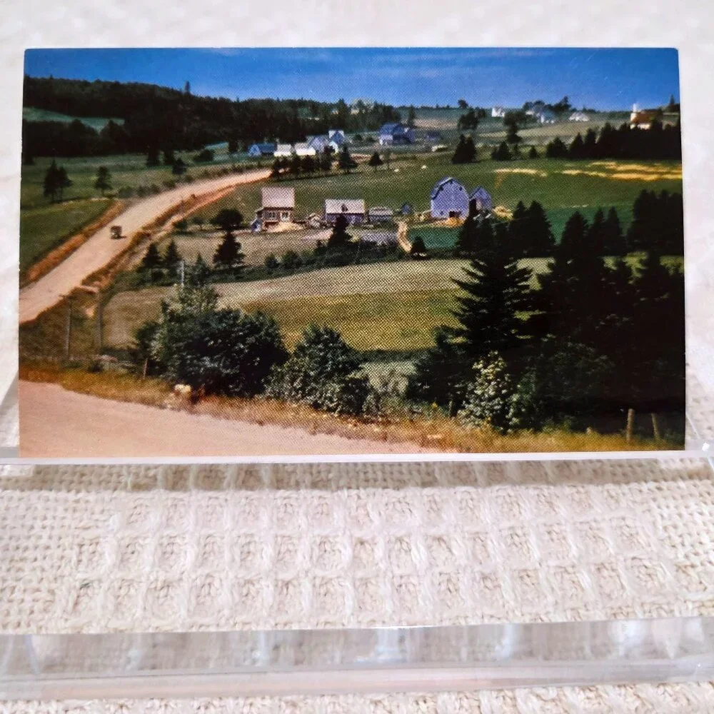 Vintage Postcard vintage farm