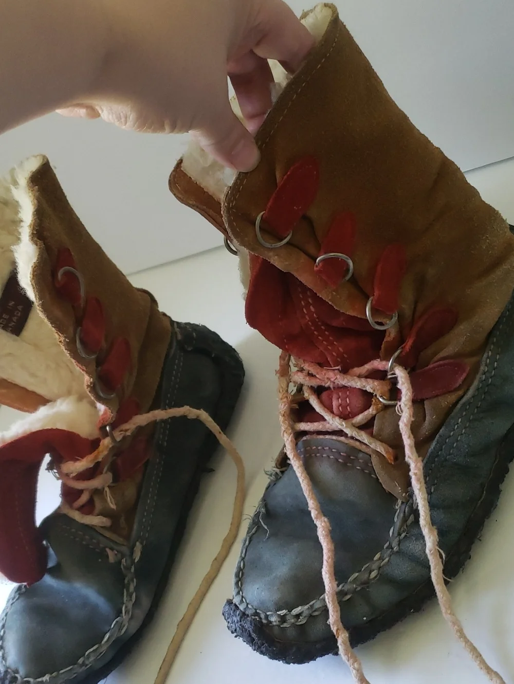 N/A canadian moccasin