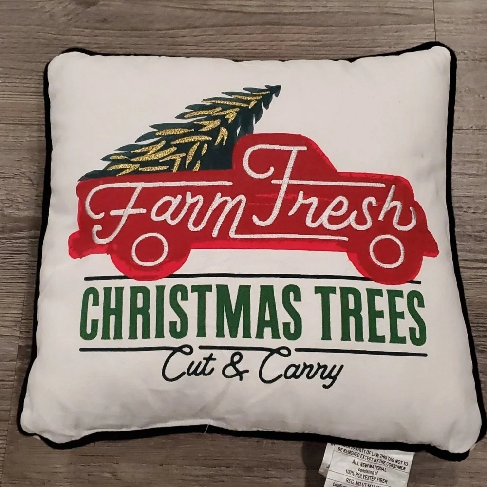 Wondershop pillows new