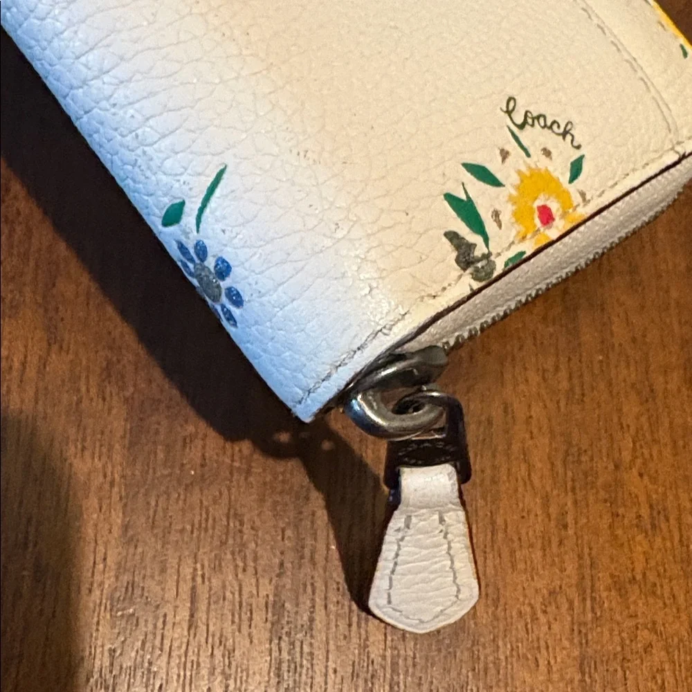 Coach zip around