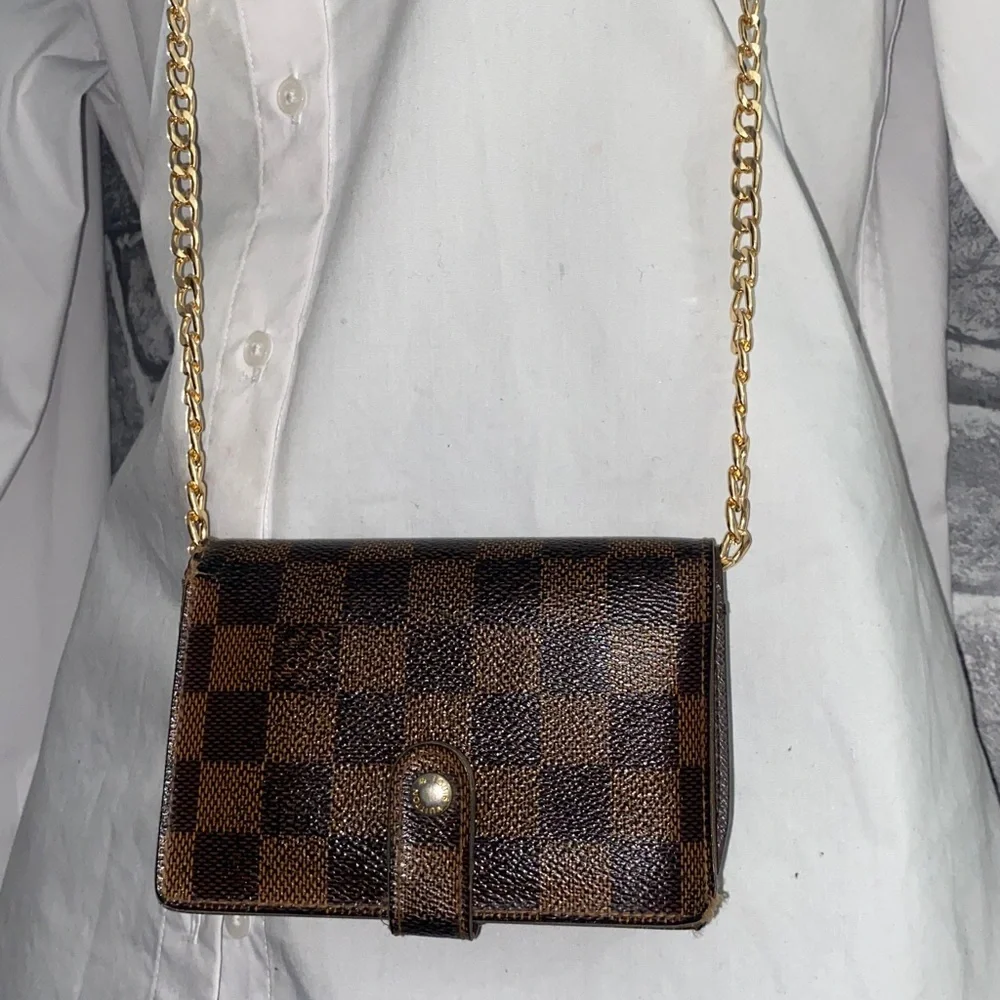 Louis Vuitton authentic louis