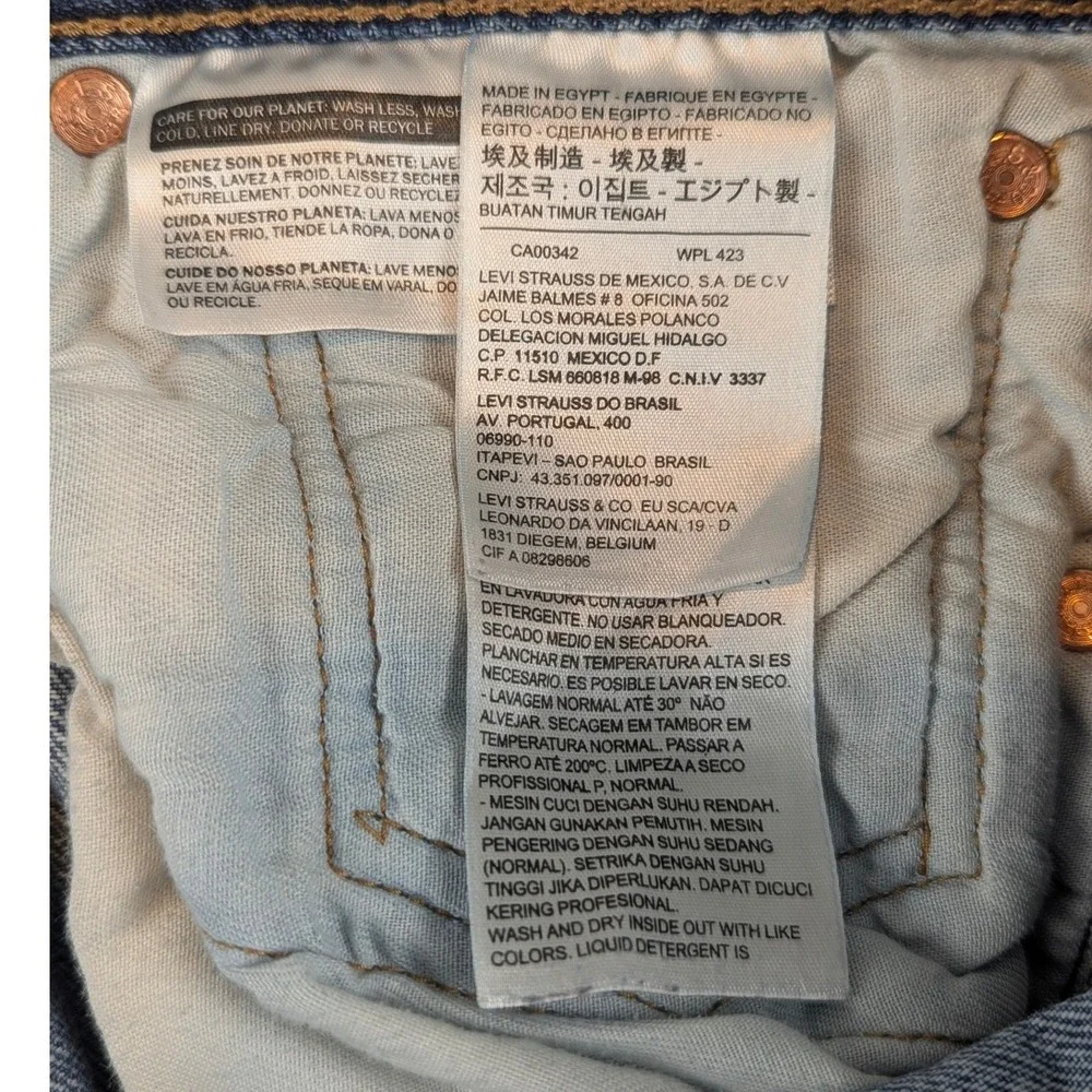Levis levi strauss