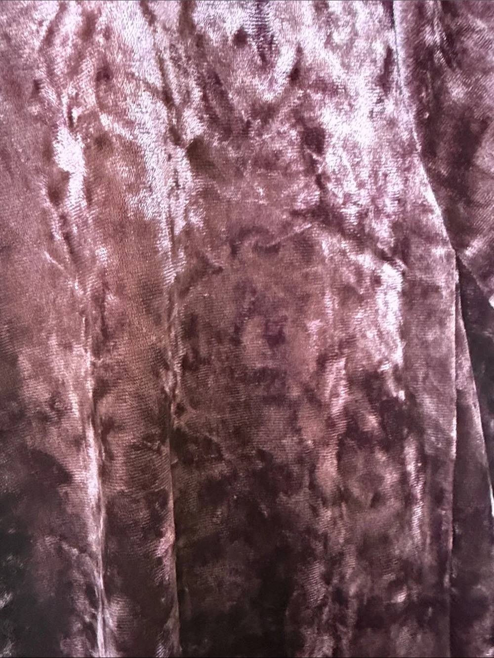 Cato pink purple