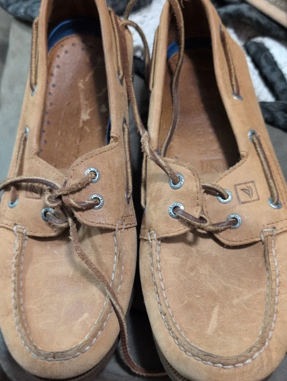 Sperry branded shoe