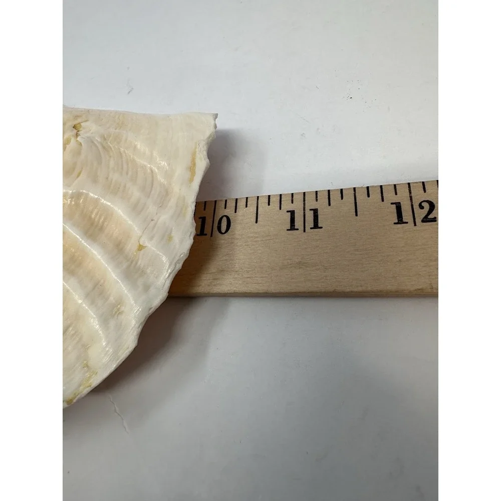 N/A large natural