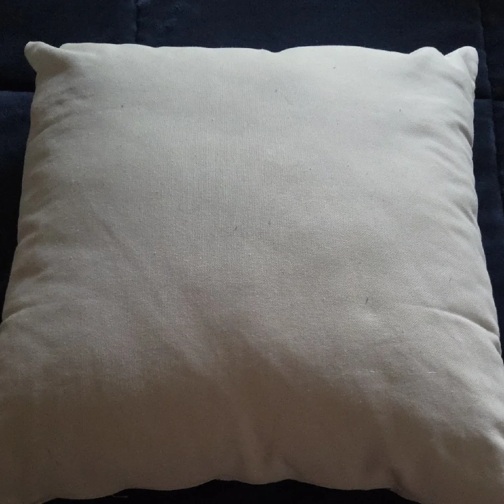 N/A charming pillow
