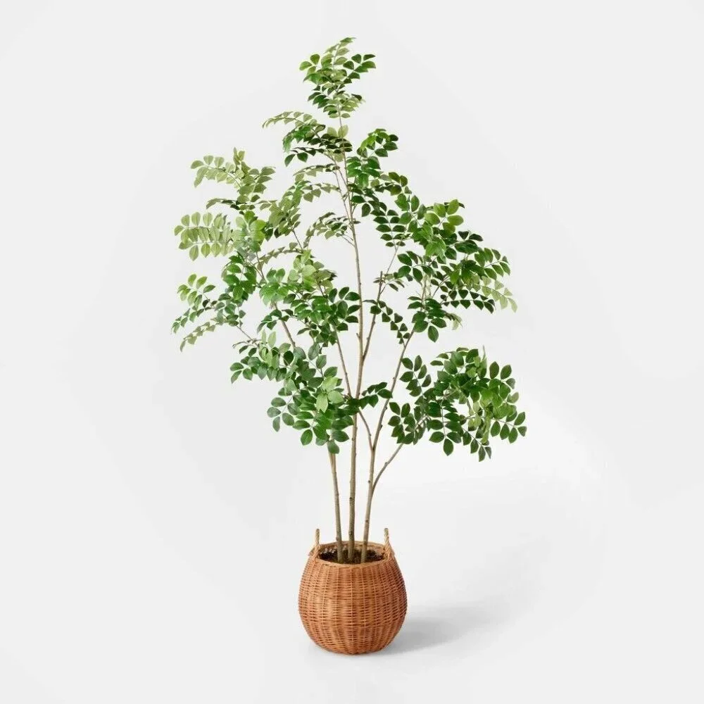 Studio McGee artificial pterocarpus
