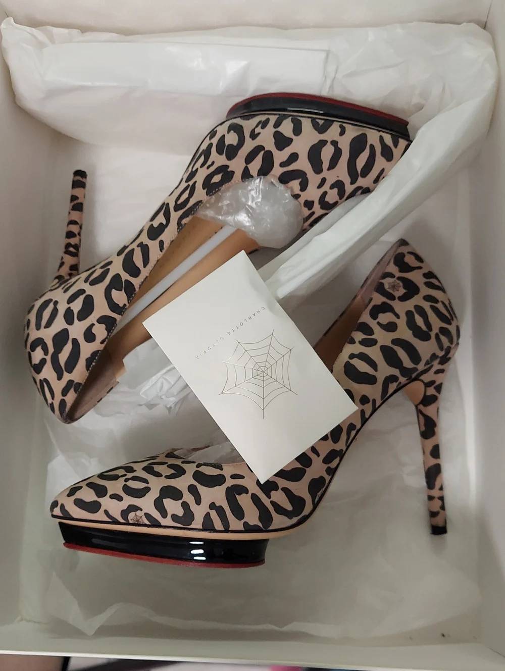 Charlotte Olympia charlotte olympia