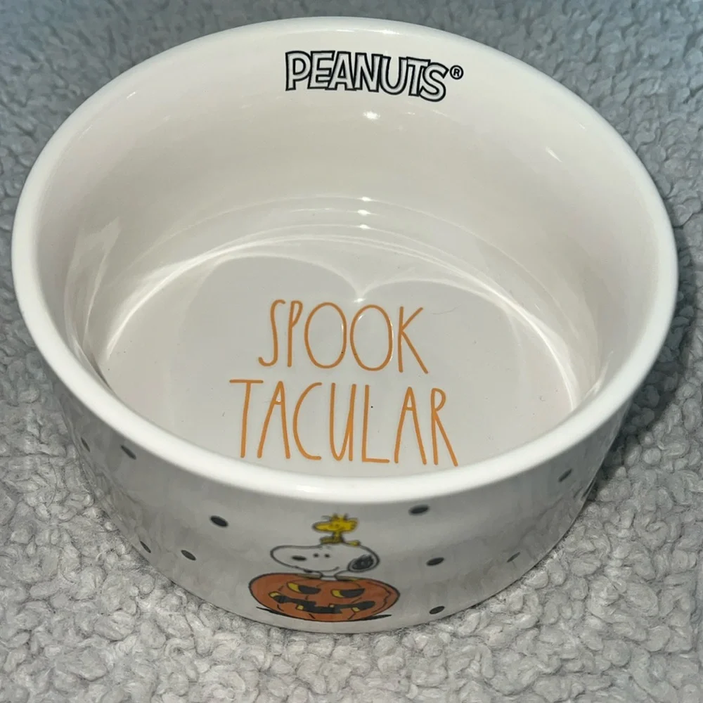 Rae Dunn peanuts dunn dish