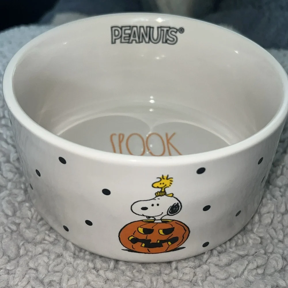 Rae Dunn halloween new rae