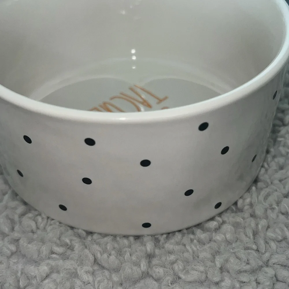 Rae Dunn snoopy #peanuts new