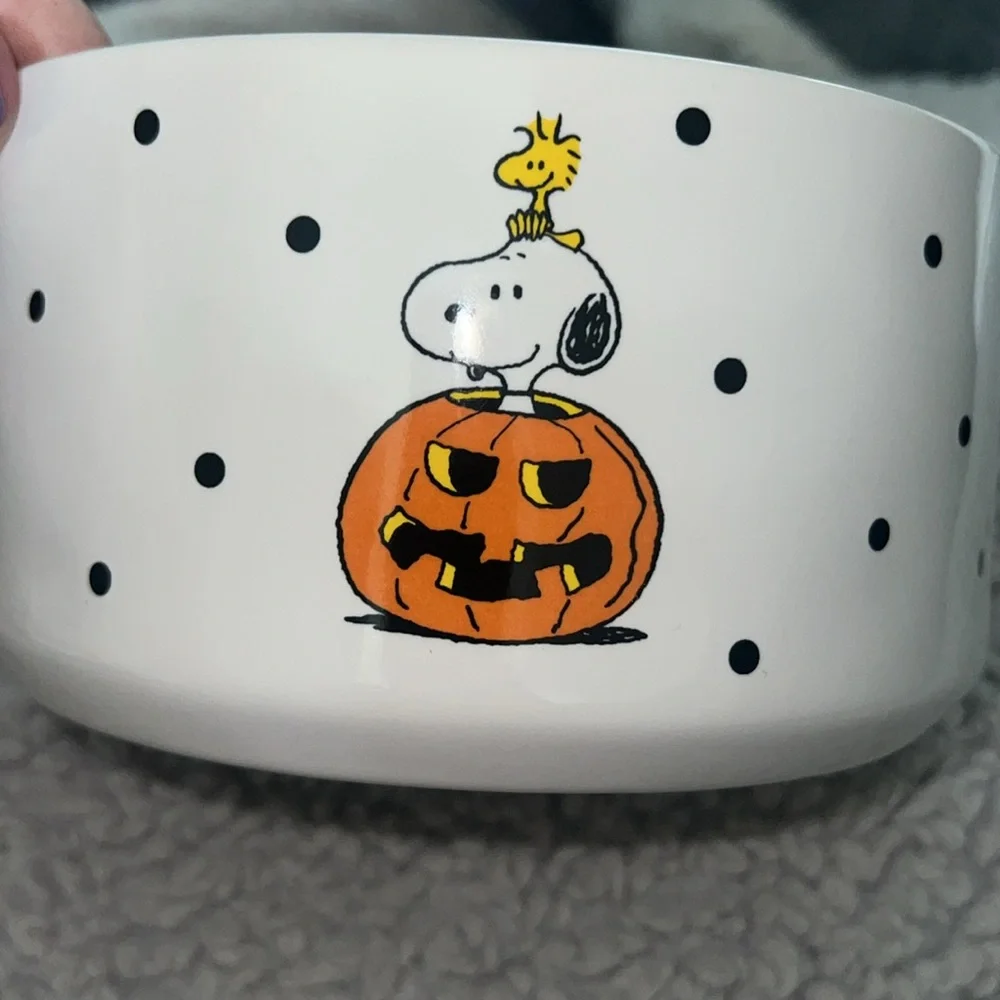 Rae Dunn dunn snoopy