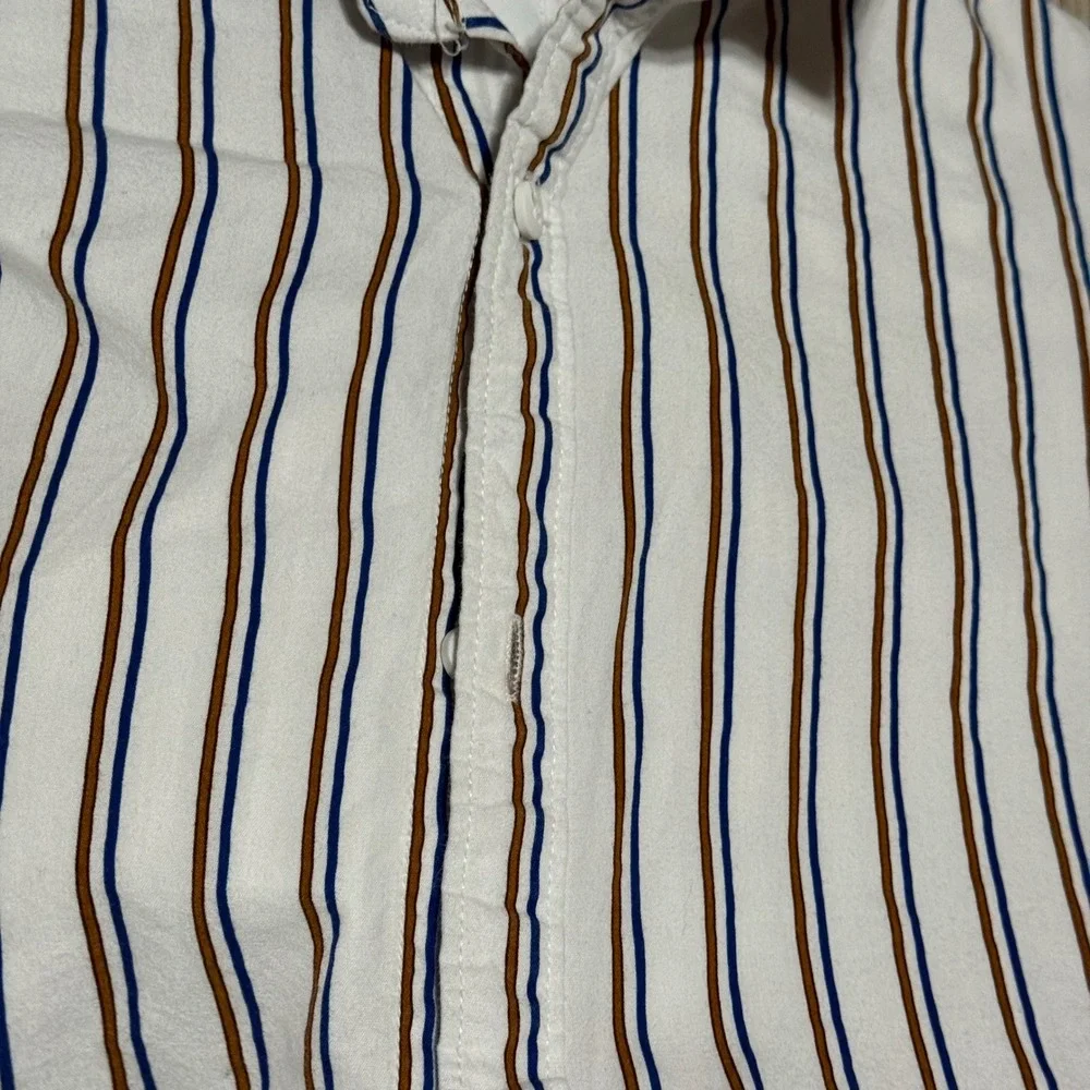 Cactus stylish striped