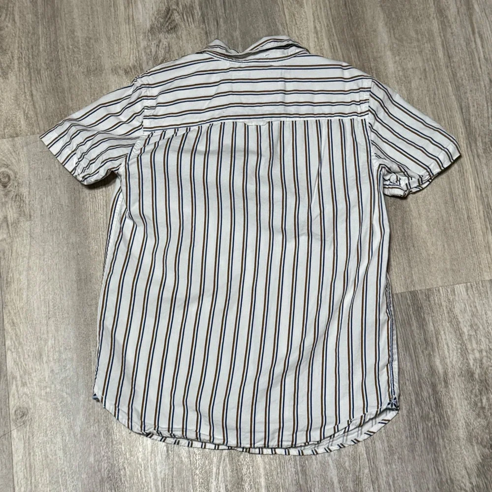 Cactus stylish striped