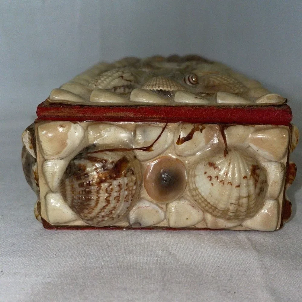 N/A shell covered