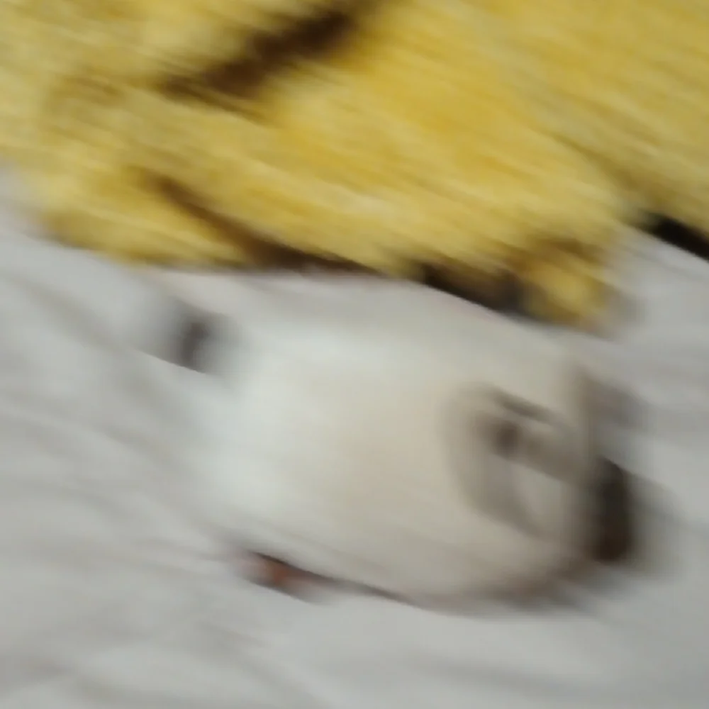 Ty adorable plush