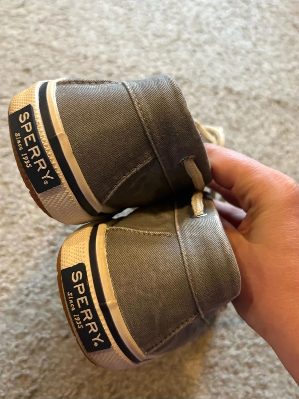 Sperry men’s canvas
