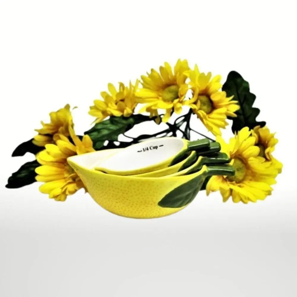 N/A lemon measuring cups