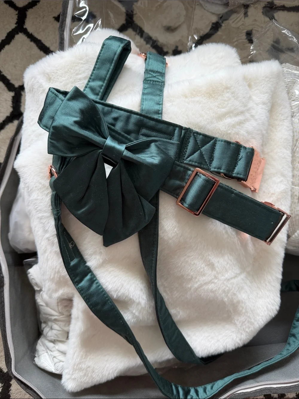 lionet paws stylish teal