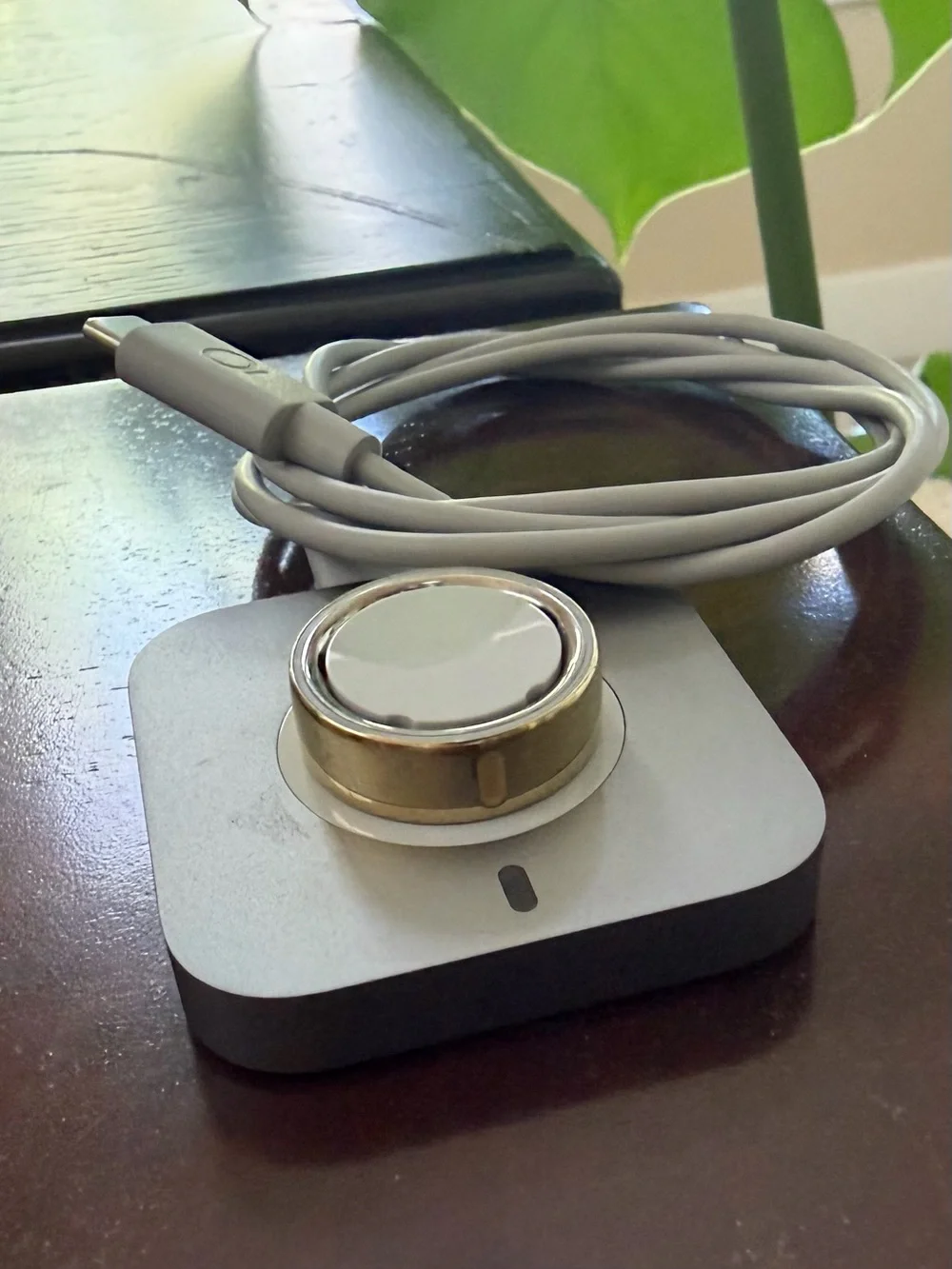 Oura ring polished