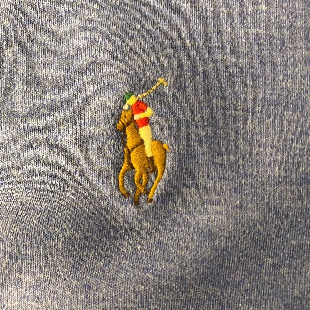 Polo Ralph Lauren Classic‎ Fit Blue Men's Polo Shirt Mens Medium Flesh Pony
