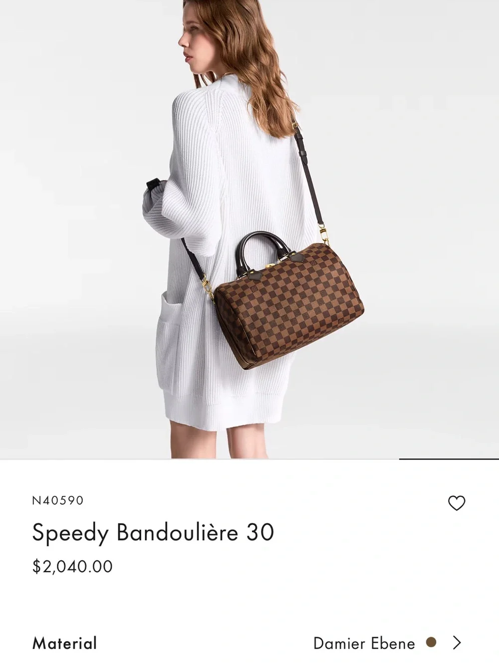 Louis Vuitton classic speedy