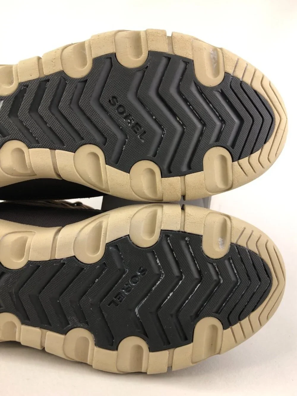 Sorel explorer wp