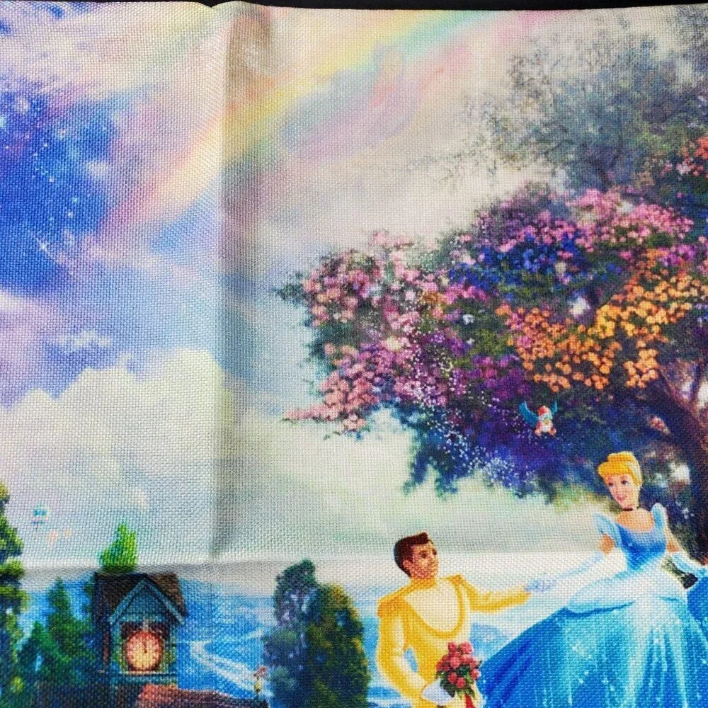 None cinderella princess