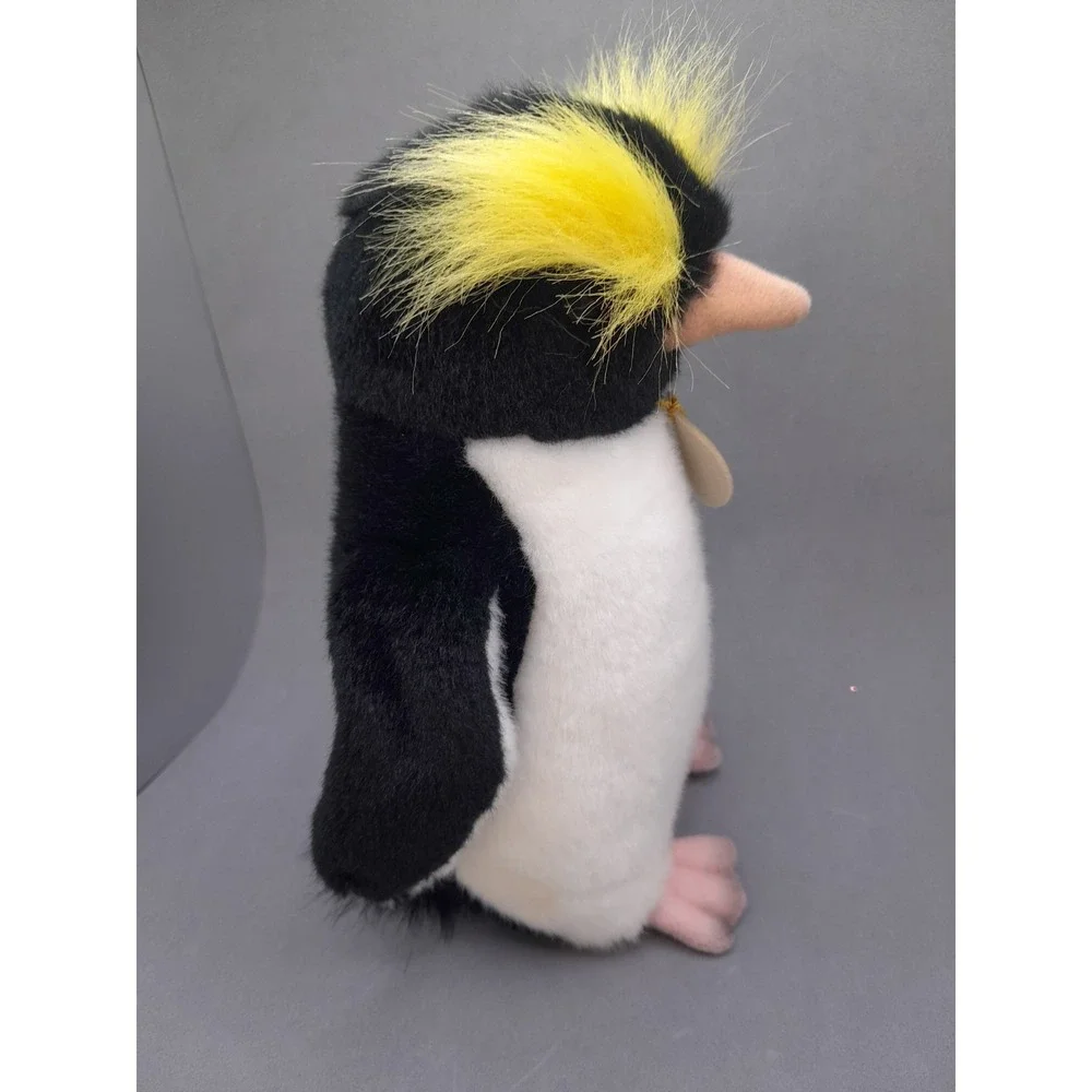 Aurora description 🐧