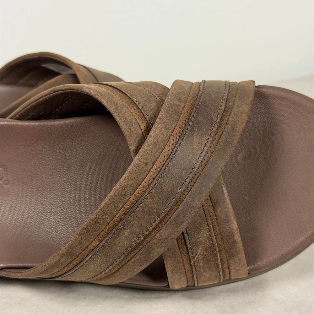 Sperry gold cup