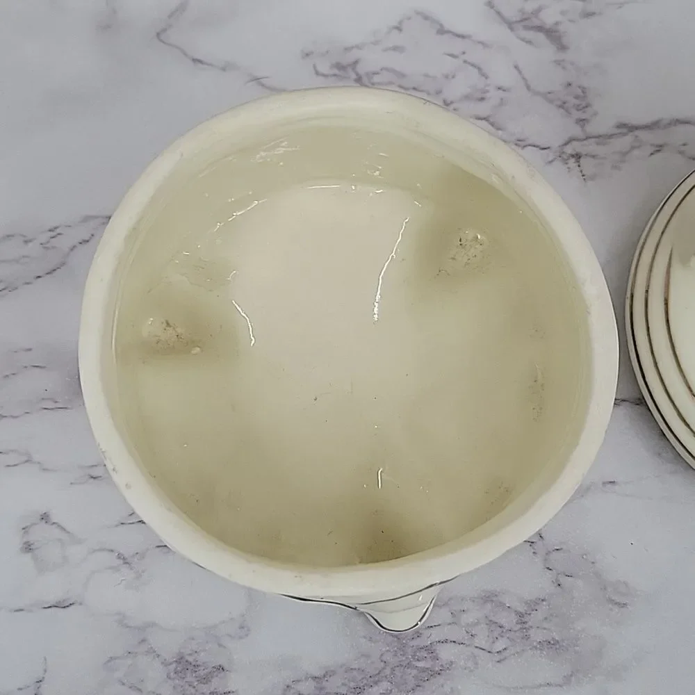 unknown creamy white