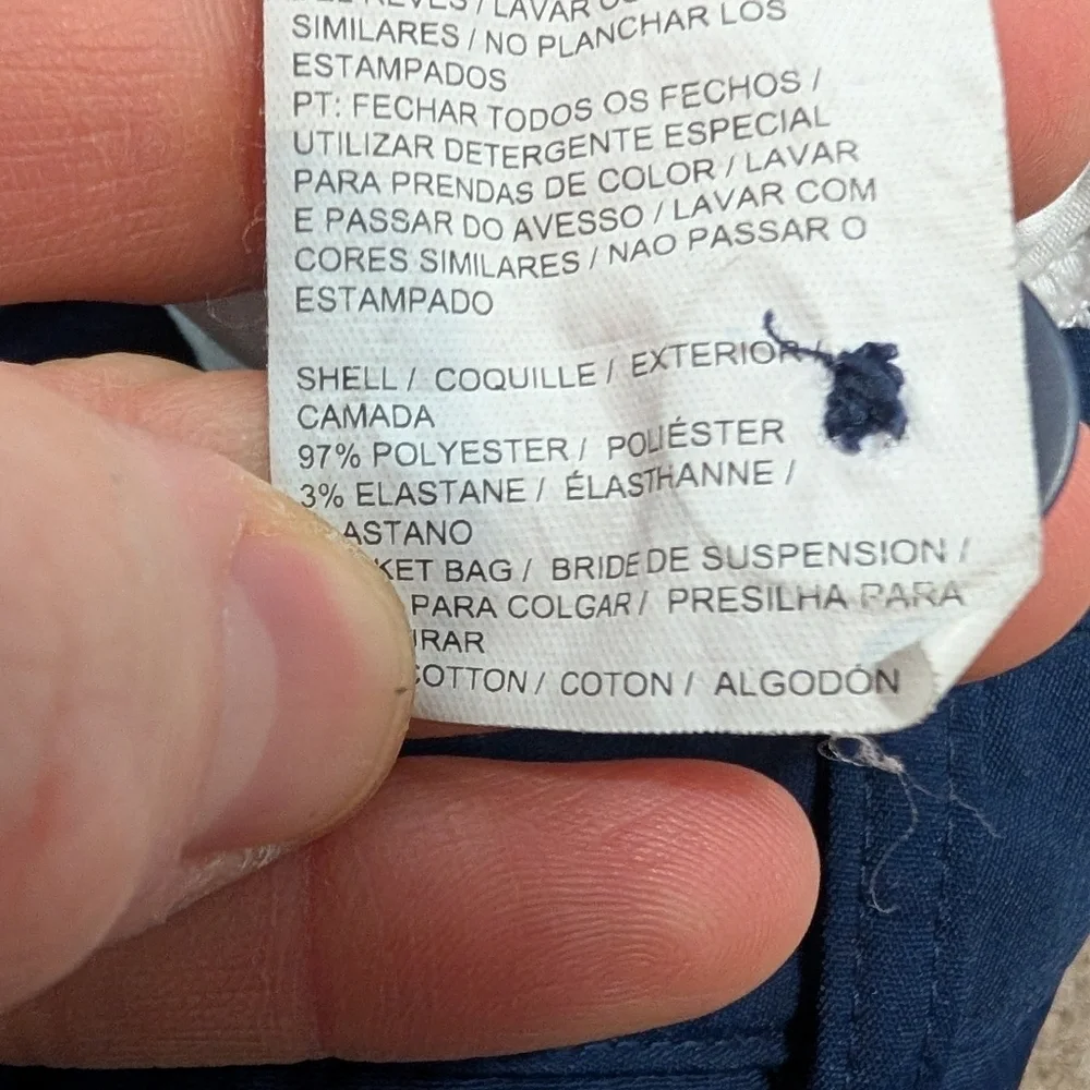 Puma comes from