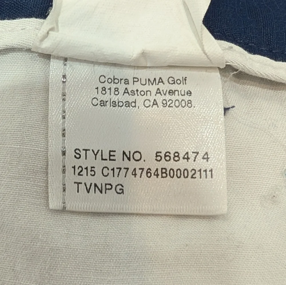 Puma comes from