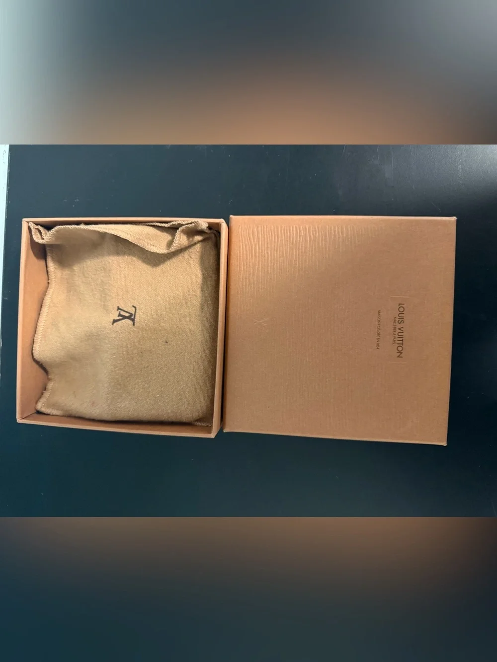 Louis Vuitton classic louis