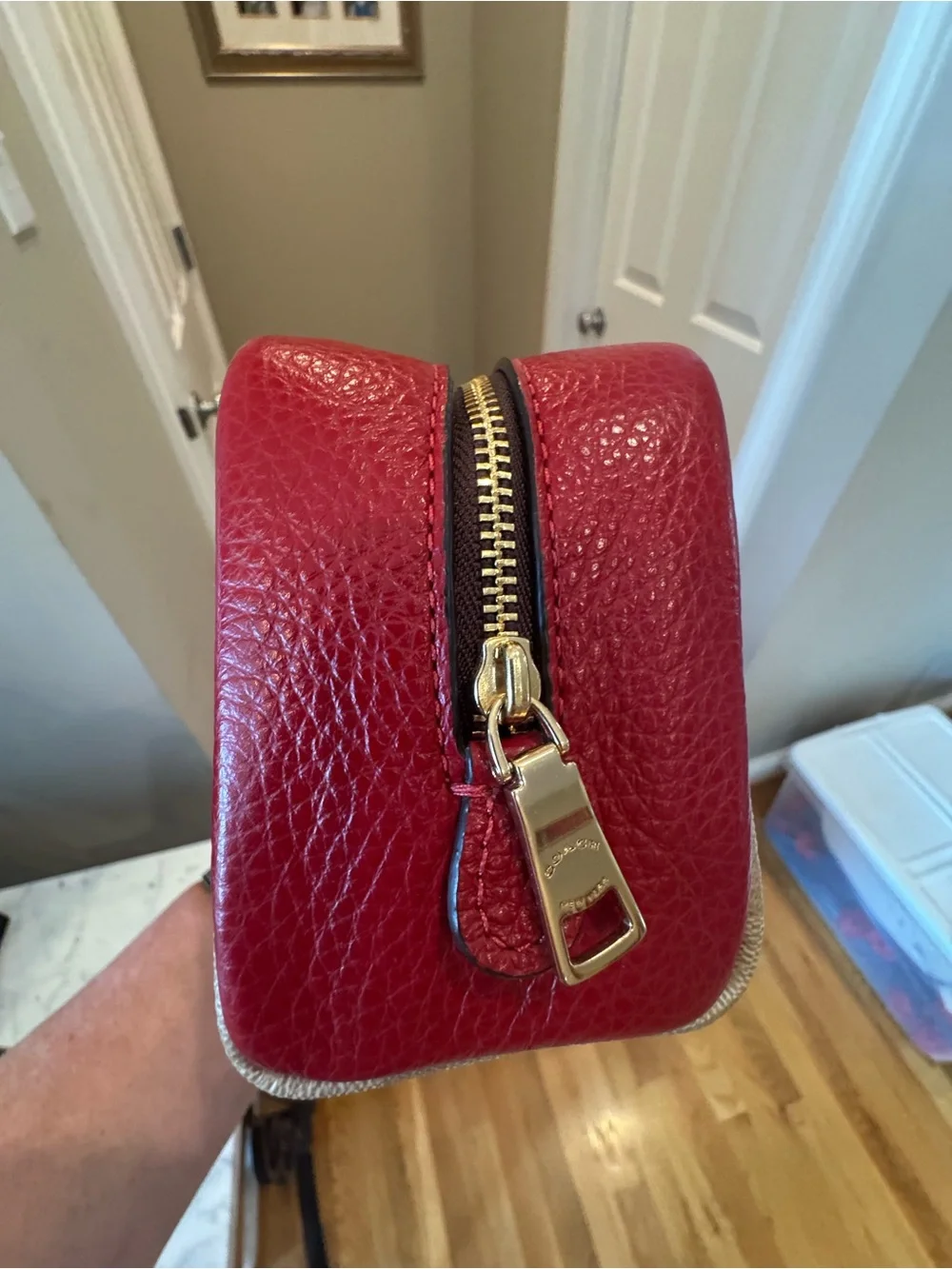 Coach lunar new