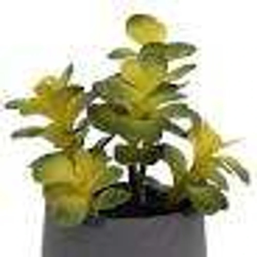 Set of‎ 2 Allen + Roth Artificial Potted Jade Plant 10 Inch Model 961134
