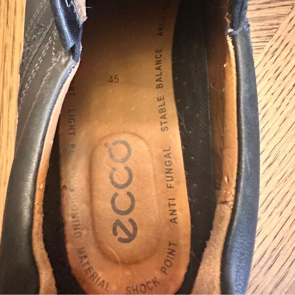 Ecco excellent see