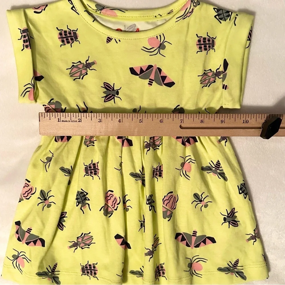 Piccolina entomology anna